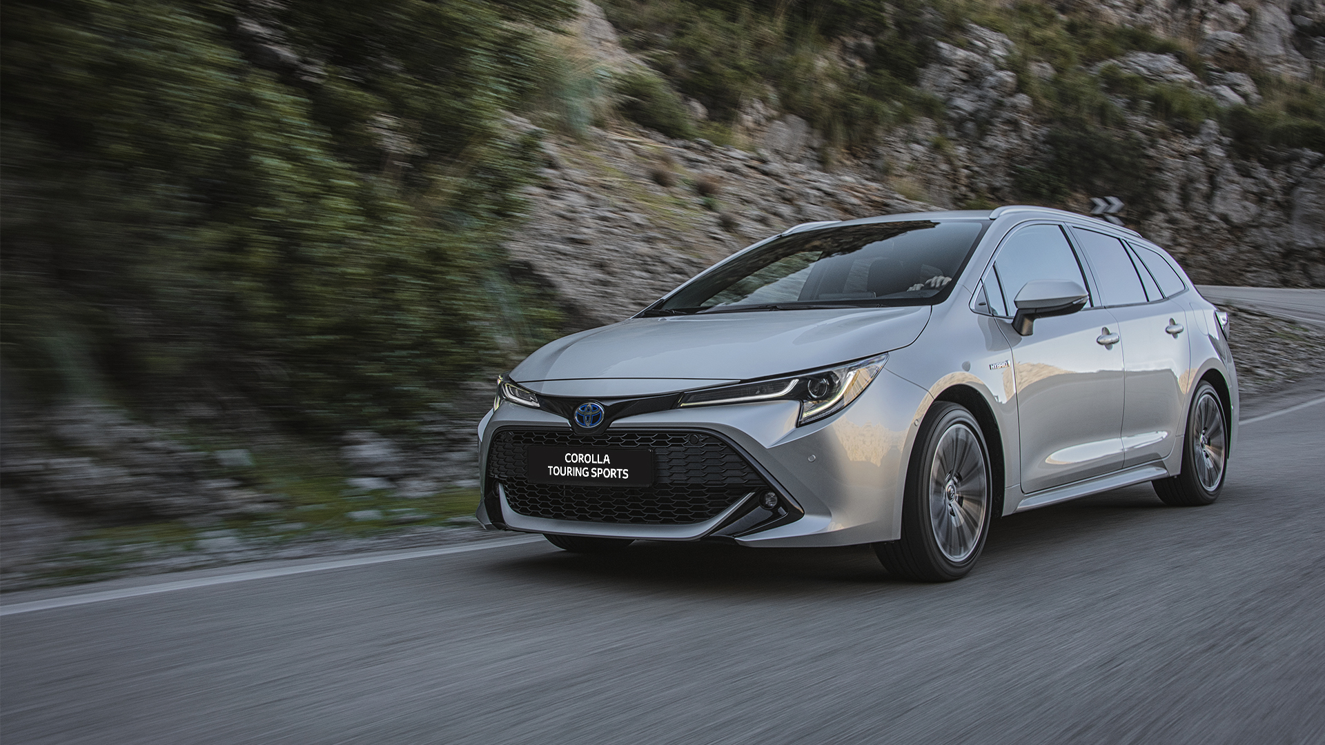 Corolla TS