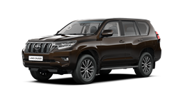 Toyota Land Cruiser Olivina